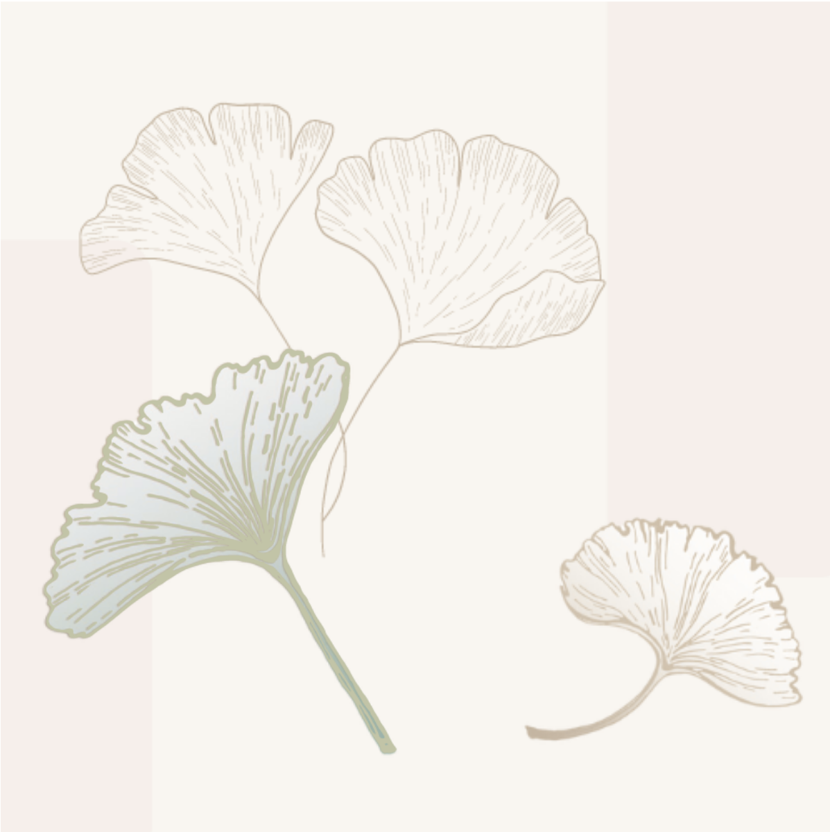 Updated Logo For Website (6) Gingko Leaves